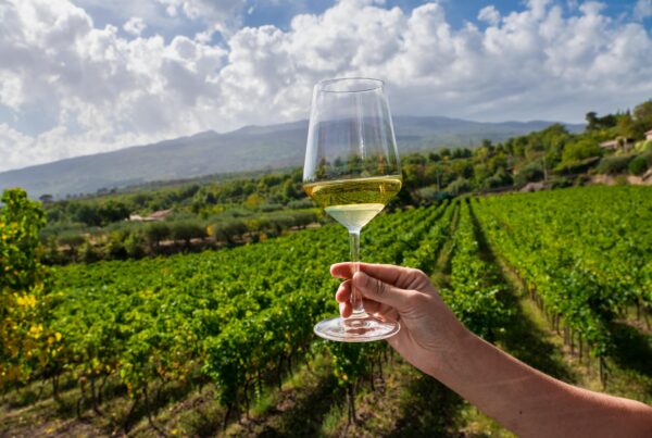 Mount Etna Wine Trail
